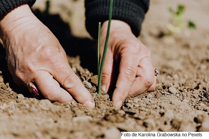 Governo abre crédito de R$ 1,2 bilhão para agricultores familiares afetados pela estiagem
