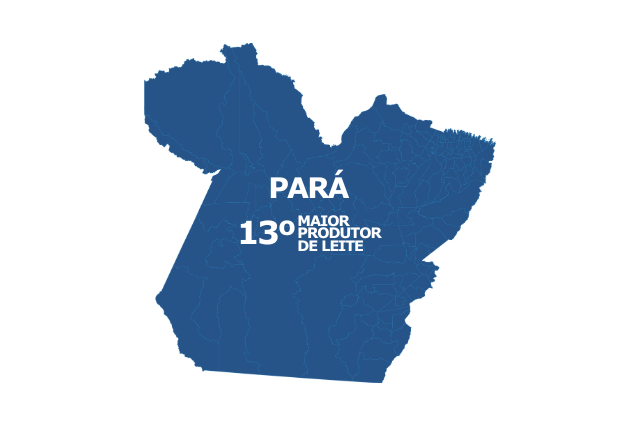 Produção / PIB per capita / Produtividade / Vacas Ordenhadas – 3 maiores mesorregiões do Pará