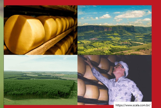 Scala celebra aniversário com minissérie “Histórias Além do Queijo” e reforça seus pilares de marca