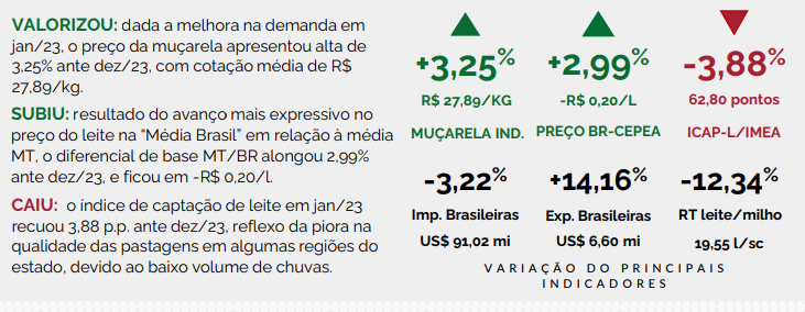 Leite a ser pago ao produtor em MT teve uma alta de 5,19%