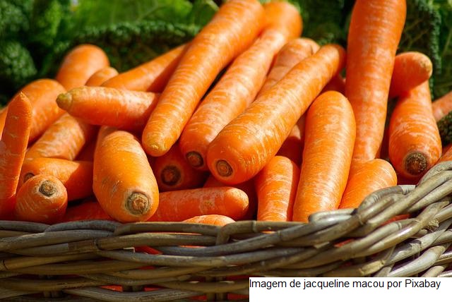 GT de Tecnologia da CNA discute proposta de regulamento de inspeção de produtos de origem vegetal