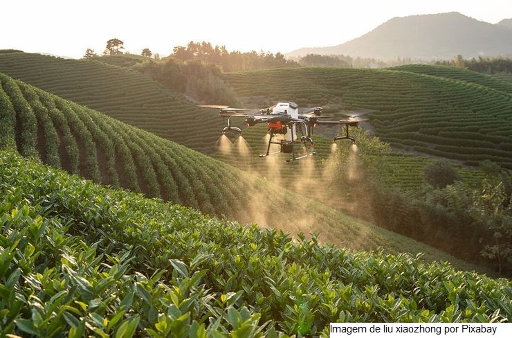Mapeamento de startups do agro vai ajudar a superar alguns desafios do setor, diz coordenadora do Hub CNA Digital