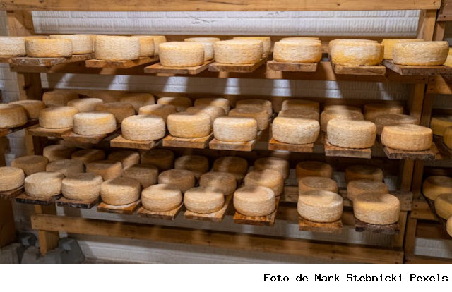 Começa na sexta-feira o 1º Festival do Queijo e Produtos Lácteos de Mato Grosso