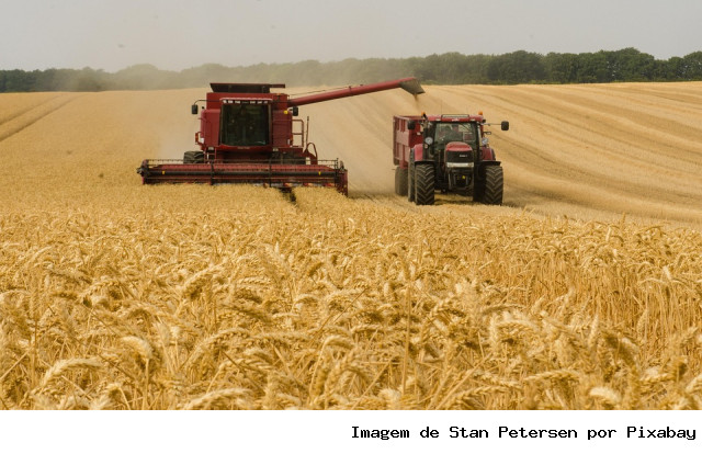 Produção de grãos é estimada pela Conab em 354,8 milhões de toneladas na safra 2025/26