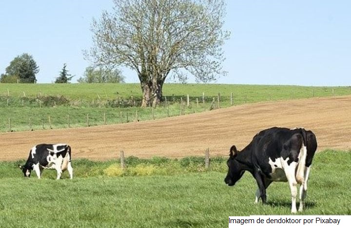 Portugal – Produtores de leite protestam: “preços insustentáveis”