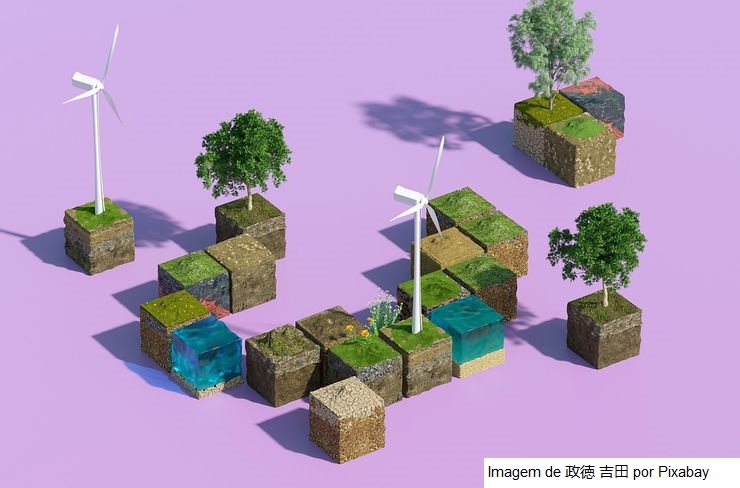 Ações de impacto socioambiental em 2024: comece pelo seu porque
