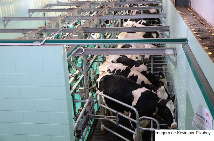 Indústria de laticínios Damare vai captar e beneficiar leite de produtores sergipanos