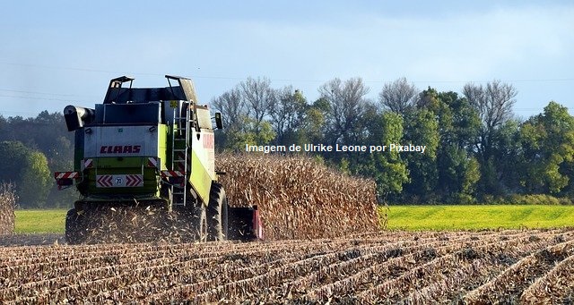 Valor da Produção Agropecuária de 2021 deve registrar aumento real de 11,8%