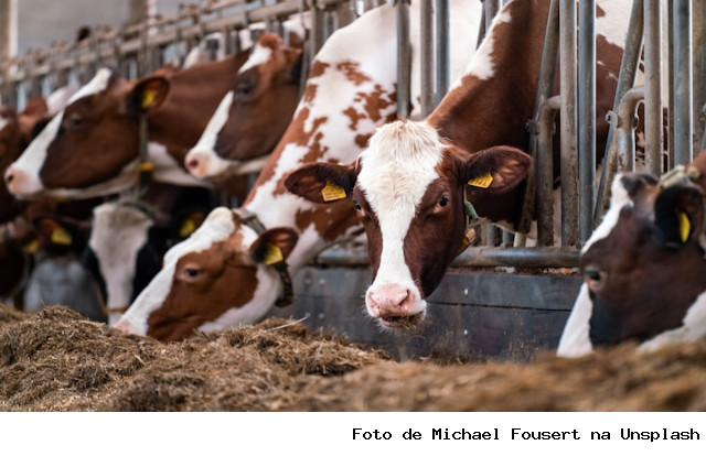 CNA realiza encontro para mapear custos da produção de leite