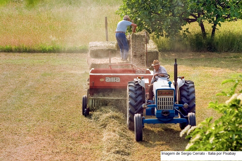 Heróis da terra: Dia Mundial da Agricultura e o papel vital dos agricultores