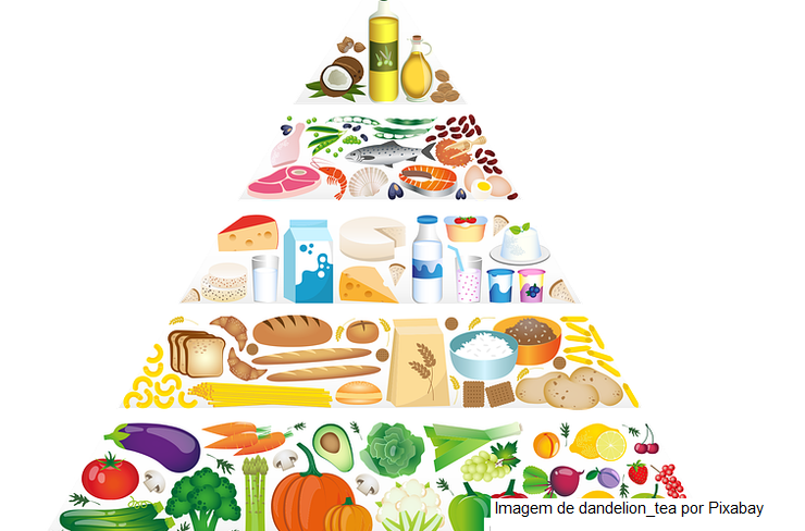 G7 – A presidência alemã do G7 organiza debate sobre segurança alimentar mundial