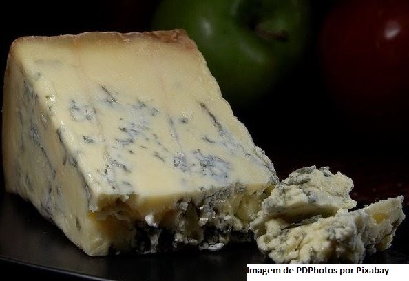 Faixa azul: a referência no setor de queijos que mais cresce