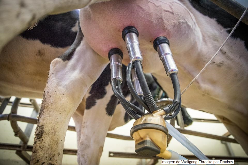 CIRCUITO AGRO BB reúne produtores de leite em Ituporanga