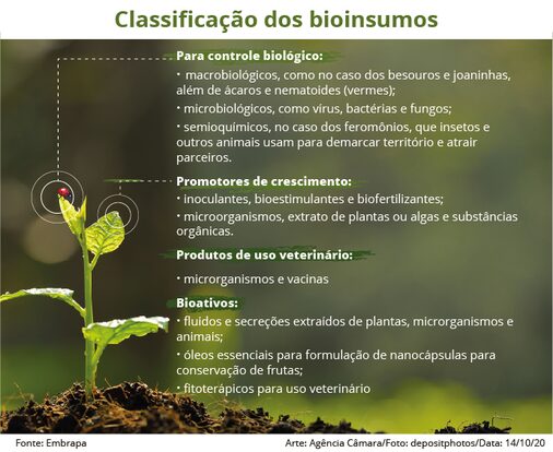 Comissão debate regras para uso e produção de insumos biológicos no Brasil