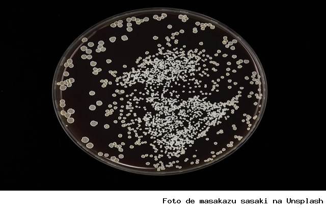 Webinar apresenta projeto de monitoramento de microrganismos resistentes e resíduos de antimicrobianos em alimentos