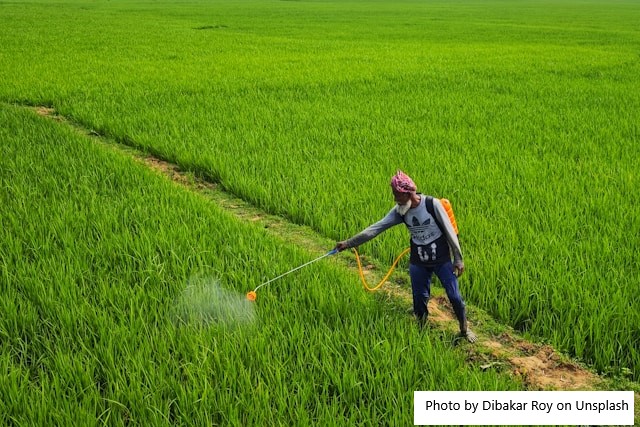 Anvisa e Ministério da Saúde lançam painel público com informações sobre agrotóxicos em alimentos