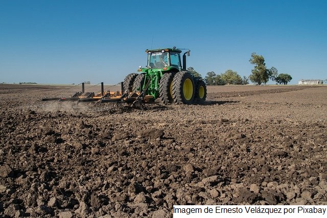 CATI/CDRS inicia os plantios de verão para a produção de sementes da Secretaria de Agricultura e Abastecimento