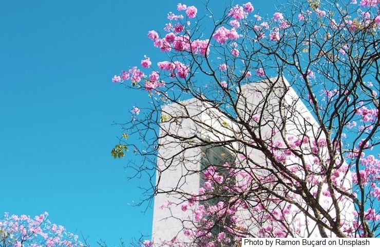 Primavera começa nesta quinta-feira e dá início ao plantio das principais culturas de verão