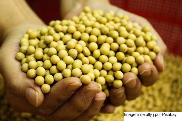 USDA: Vendas para exportação de soja dos EUA já superam acumulado do mesmo período do ano anterior