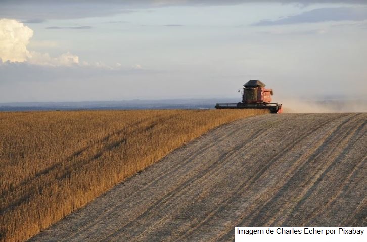 Brasil deve exportar 9,9 milhões de t de soja em fevereiro, diz Anec