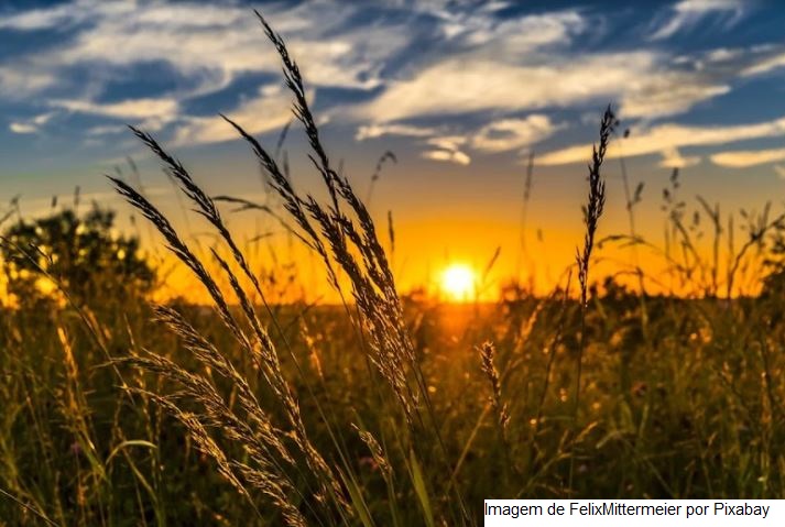 Clima colabora e colheita de trigo avança para 85% no Rio Grande Sul