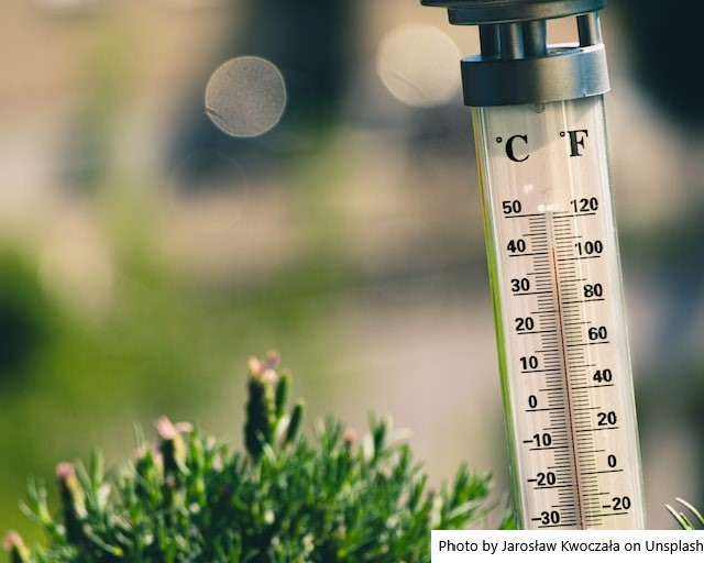 AR – Em pleno inverno, o norte de Córdoba suportou temperaturas de 36°C