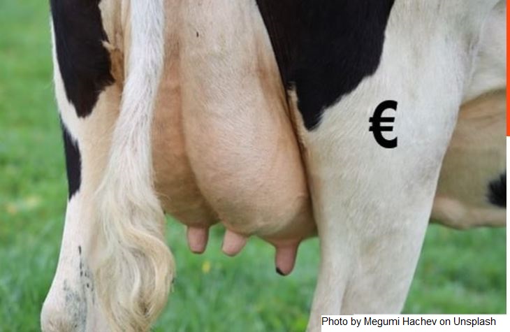 Espanha – Setor lácteo denúncia promoção do leite em cadeias de distribuição