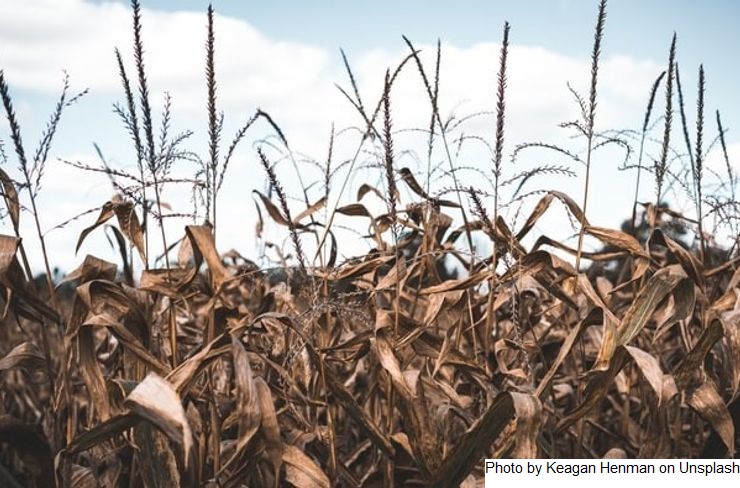 Argentina – La Niña permanece, e pelo menos até janeiro continuará o déficit de chuvas
