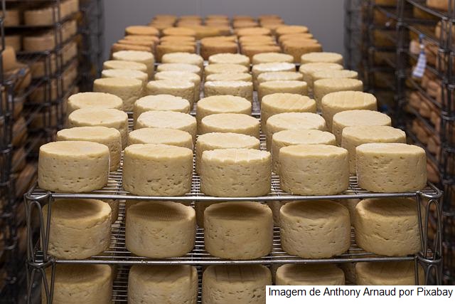 Queijo Minas Legal prevê R$ 2,8 mi para beneficiar produtores rurais