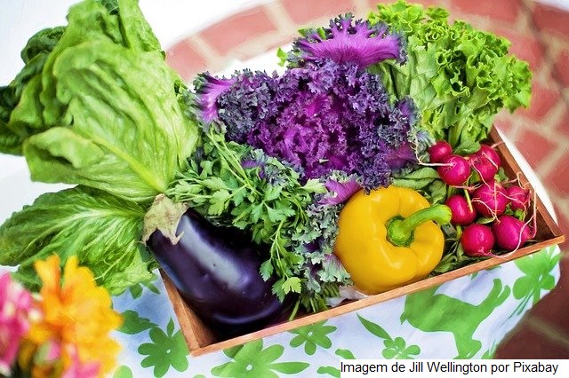 Estudo recomenda aumentar recursos do Programa de Aquisição de Alimentos