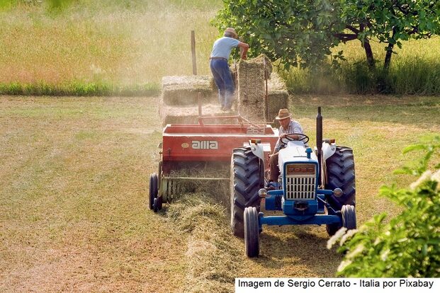 Mapa registra quatro defensivos agrícolas inéditos para uso dos agricultores