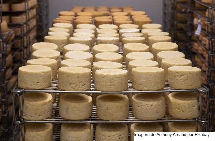 Queijo e outros derivados do leite sobem; entenda o motivo