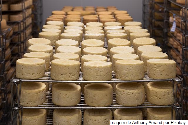Preço do queijo aumenta devido a alta do leite