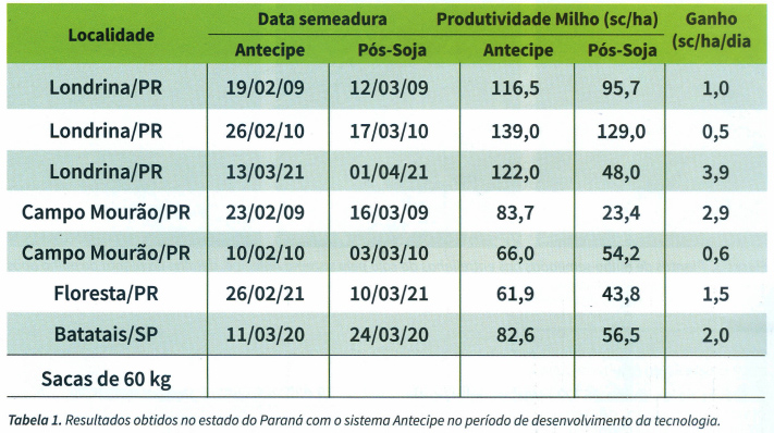 Tecnologia Antecipe aumenta produtividade do milho segunda safra