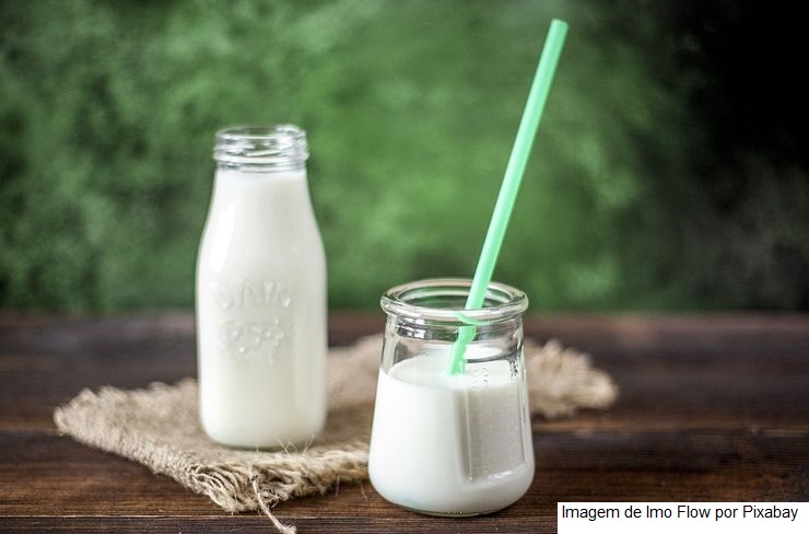 Melhor iogurte do Mundial de Queijos e Produtos Lácteos