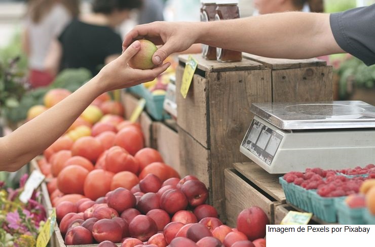 Índice de Preços ao Produtor (IPP) é de 0,92% em agosto