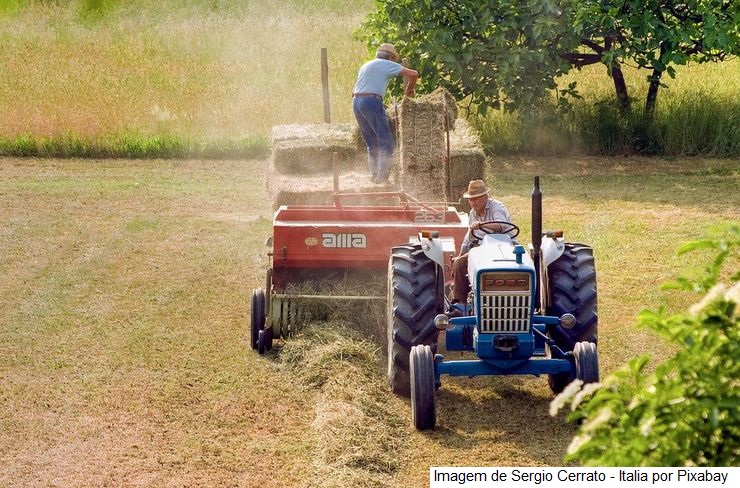 CMN ajusta regras de monitoramento e fiscalização do Proagro