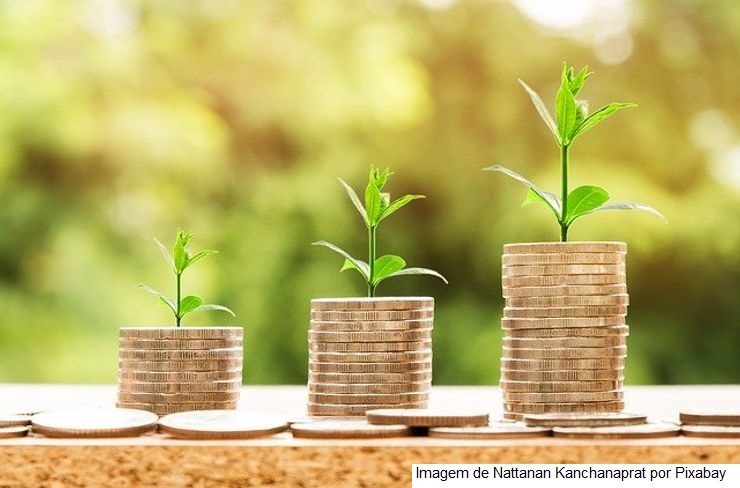Banco do Brasil lança solução de crédito para preservação ambiental no campo