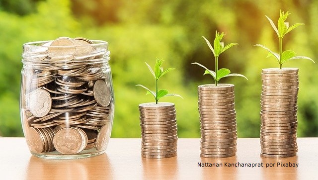 Crowdfunding é alternativa de financiamento rural