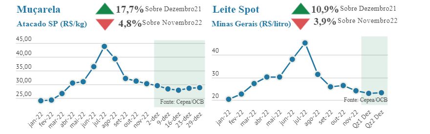 Dezembro termina com mais uma queda nos preços dos lácteos