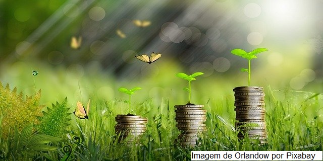Agropecuária pode contribuir para economia verde no Brasil, diz ministra