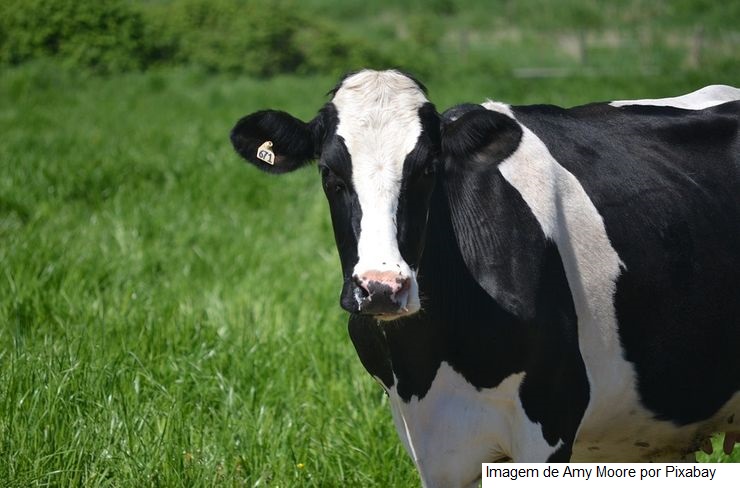 Agro não crê em avanço em aportes climáticos