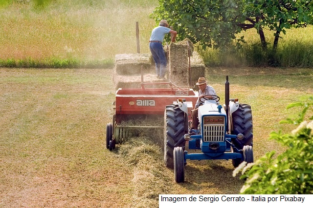 Congresso da Sober apresenta políticas voltadas à agricultura familiar e extrativismo