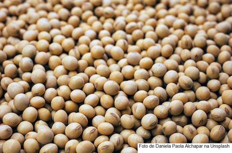 USDA reduz lavouras boas/excelentes na soja, milho e trigo; números são menores do que expectativas do mercado