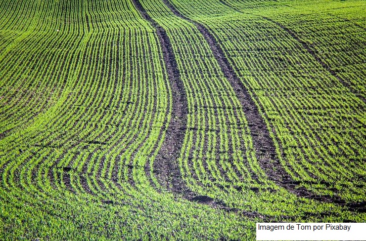 Ferramenta mensura balanço de carbono em quase 500 fazendas