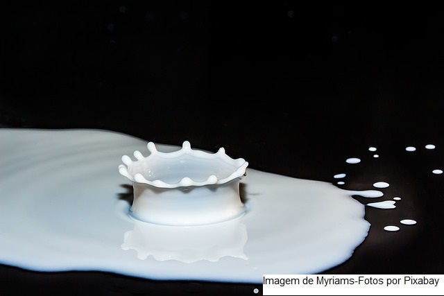 Leite e queijos são ricos em proteínas, vitaminas e cálcio
