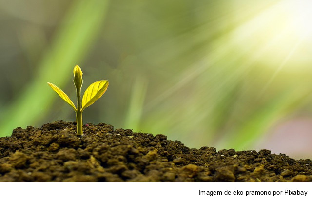 Sustentabilidade orienta principais programas do Mapa e prepara agro brasileiro para a COP 30
