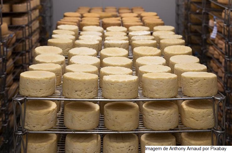 Queijo fica mais caro após aumento no preço do leite