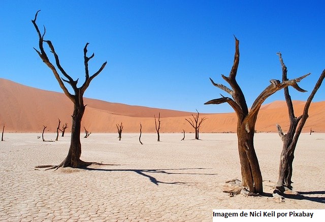 Estudo da ONU aponta influência humana em eventos climáticos extremos