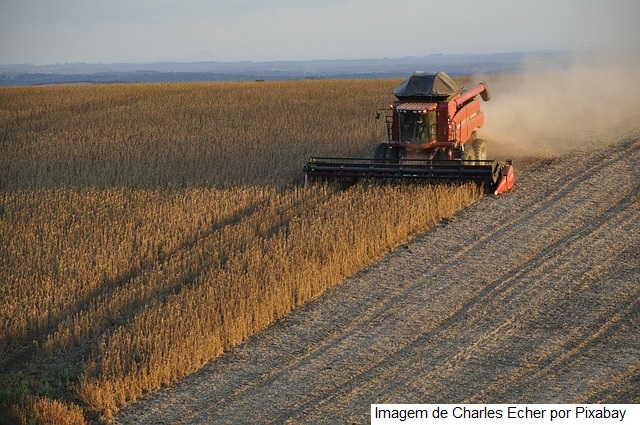 USDA: Vendas de soja para exportação dos EUA superam em 7% as do ano passado